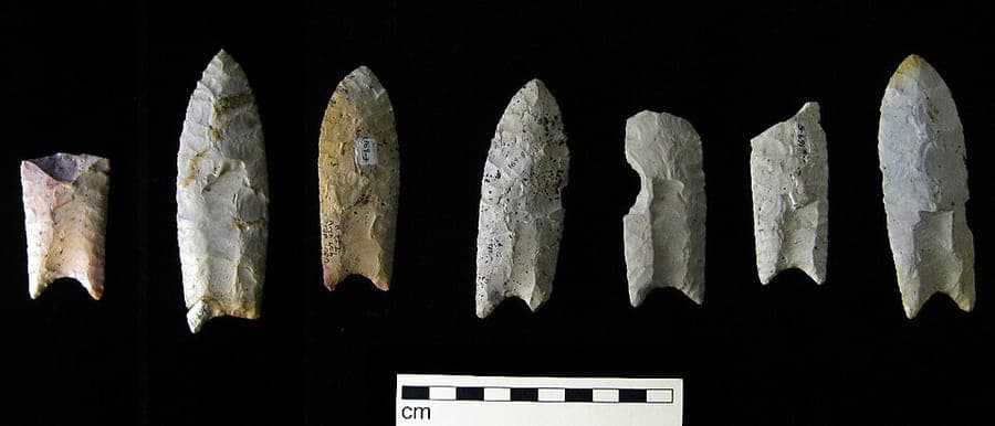 A row of large, finely flaked Clovis points from the Rummells-Maske cache in Iowa, laid side by side on a dark background.