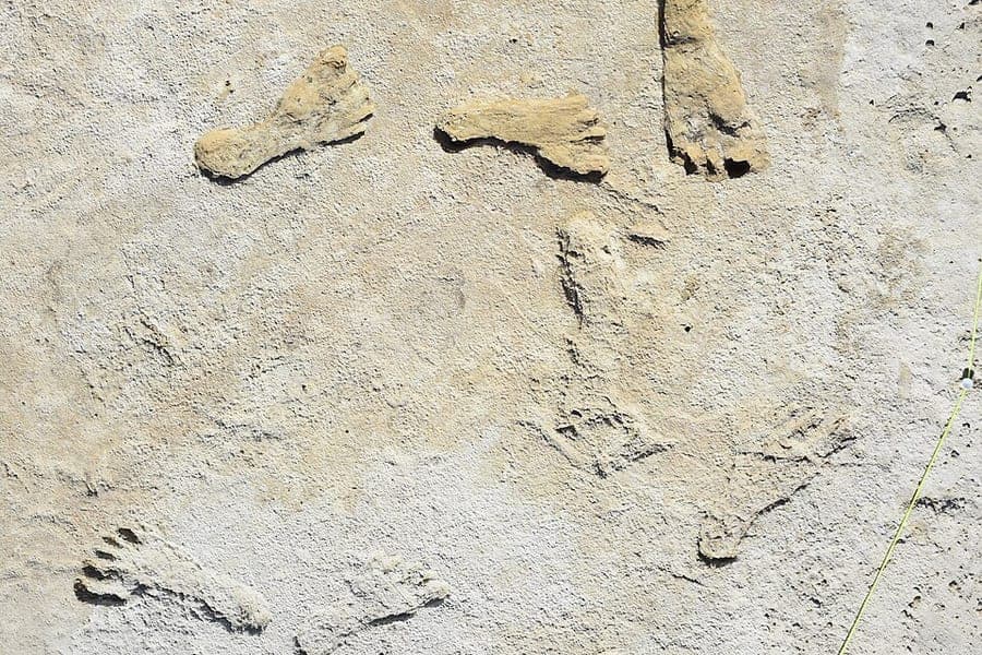 Seven fossil human footprints preserved in pale Ice Age gypsum sediment at White Sands National Park, running in a line across the frame.